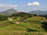 Imu agricola, detrazione di 200 euro per i comuni non montani