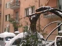 Campobasso, attività didattiche sospese