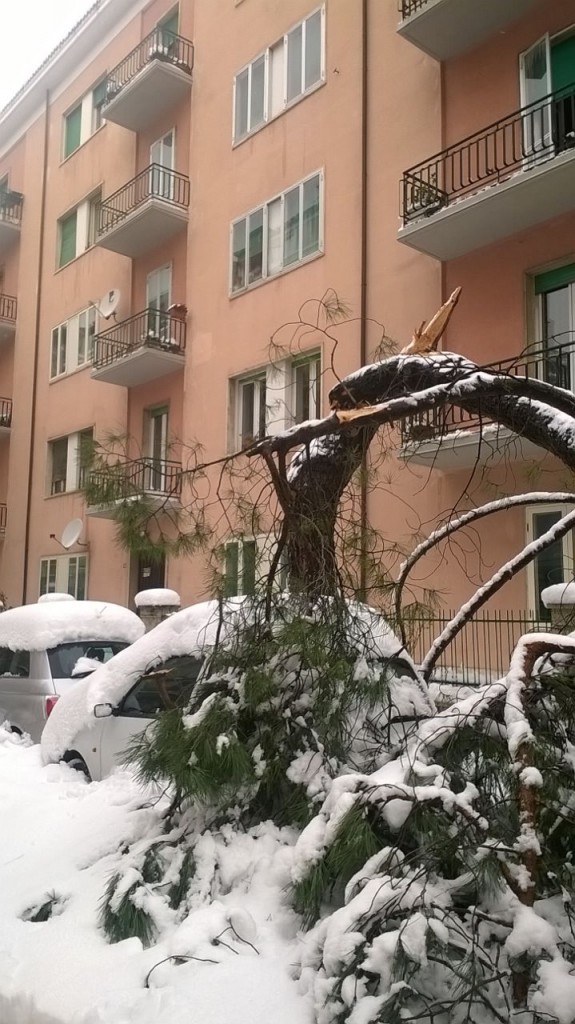 Campobasso, attività didattiche sospese