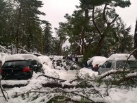 Danni e disagi, amaro risveglio per i campobassani