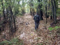 Riccia, il bosco Mazzocca location di una gara di tartufi