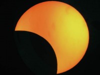 “La Giornata delle stelle”