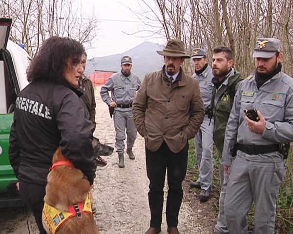 Strage di cani con esche avvelenate, blitz della Forestale