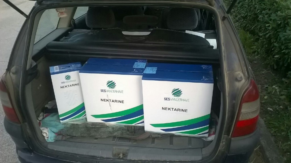 Primi contratti per la semine delle bietole allo Zuccherificio