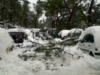 Campobasso si ‘riappriopria’ dei suoi giardini: riaprono le ville chiuse dopo la nevicata di marzo