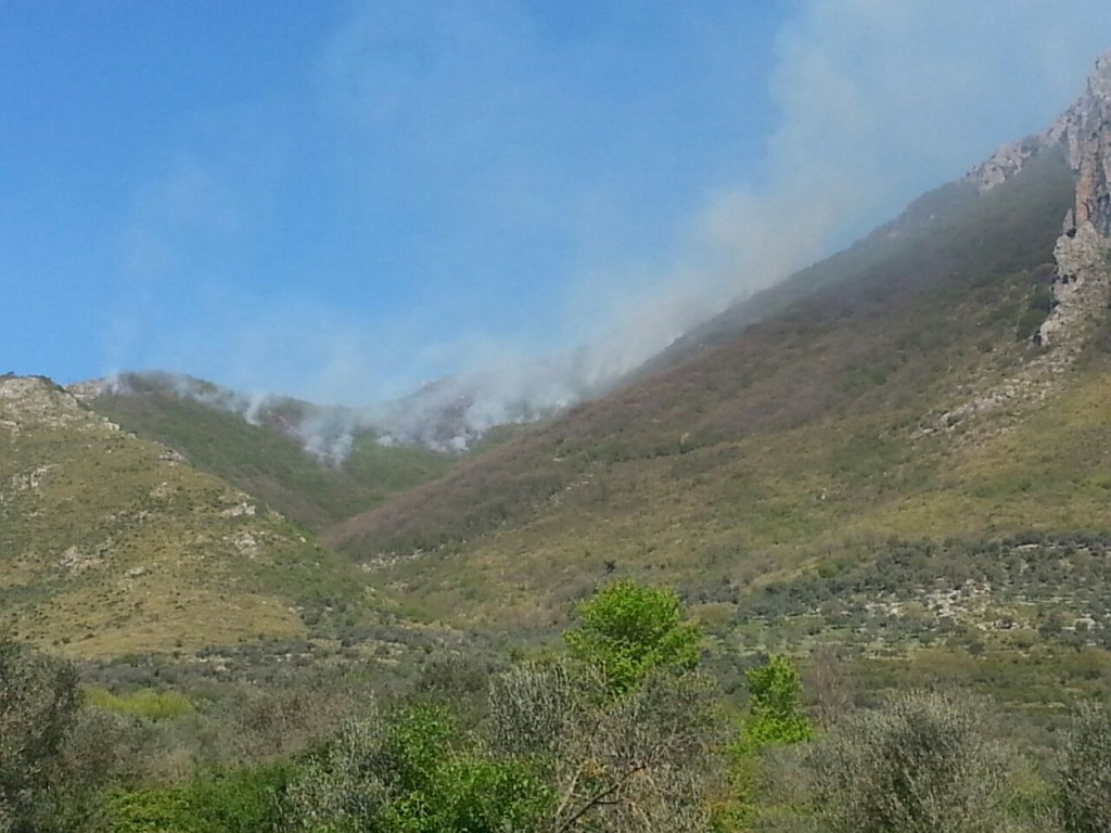 Venafro, vasto incendio in zona Costa Rossa