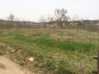 Biomasse a Mascione, in campo anche il comitato ‘Basta emissioni’