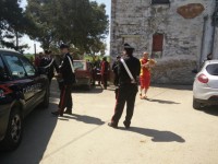 Blitz di Nas e Carabinieri nelle stalle: sequestrati i buoi delle Carresi