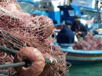 Fermo pesca, arrivano i contributi per gli operatori