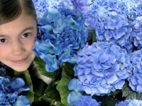 Fiori d’Azzurro, Telefono Azzurro in campo anche a Campobasso