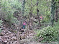 Operai forestali senza stipendio, pronto il presidio