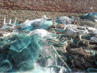 Termoli, la Polizia provinciale stana un deposito abusivo di rifiuti