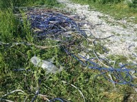 Furto nella notte alla Shc di Sesto Campano