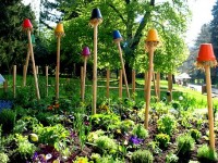 Anch’io voglio il mio Campus, promozione per la natura