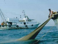 Settore ittico, altri 5 milioni per la cassa integrazione straordinaria