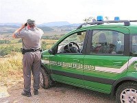 Taglia il bosco in maniera non conforme, un uomo denunciato a Montecilfone