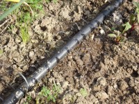 Caldo torrido, lunedì summit richiesto da Coldiretti sui problemi dell’irrigazione