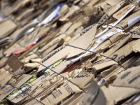 Differenziata carta e cartone, Molise indietro