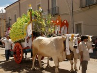 Carresi molisane, domenica l’evento a Larino