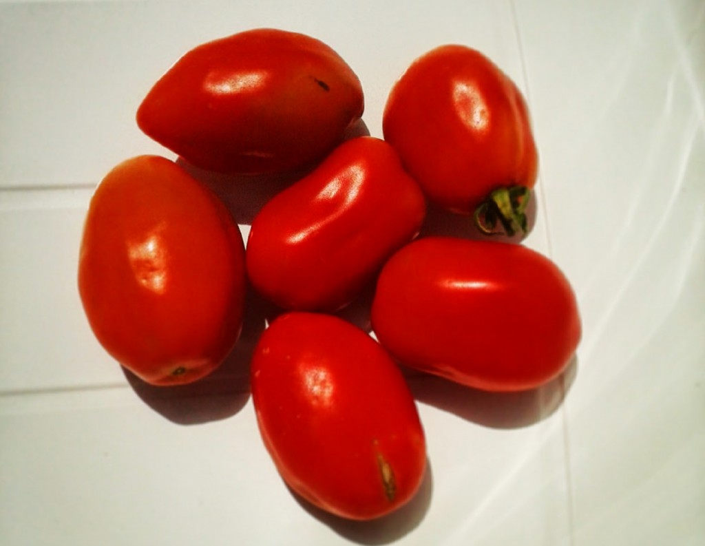 Montagano celebra le qualità del proprio pomodoro