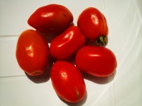 Montagano celebra le qualità del proprio pomodoro