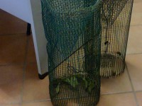 La Forestale rinviene due nasse con 15 gamberi lungo il torrente Lorda