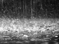 Raccolta acqua piovana, summit tecnico a Palazzo San Giorgio