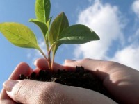 Innovazione sostenibile, sabato evento a Campobasso