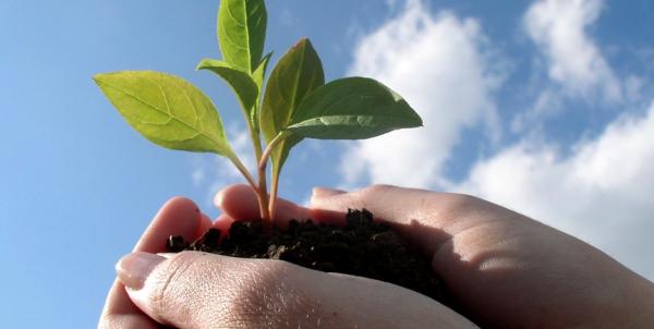 Innovazione sostenibile, sabato evento a Campobasso