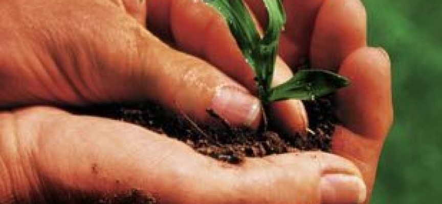 Semina diretta 2.0, giornata di studio domani a Colletorto