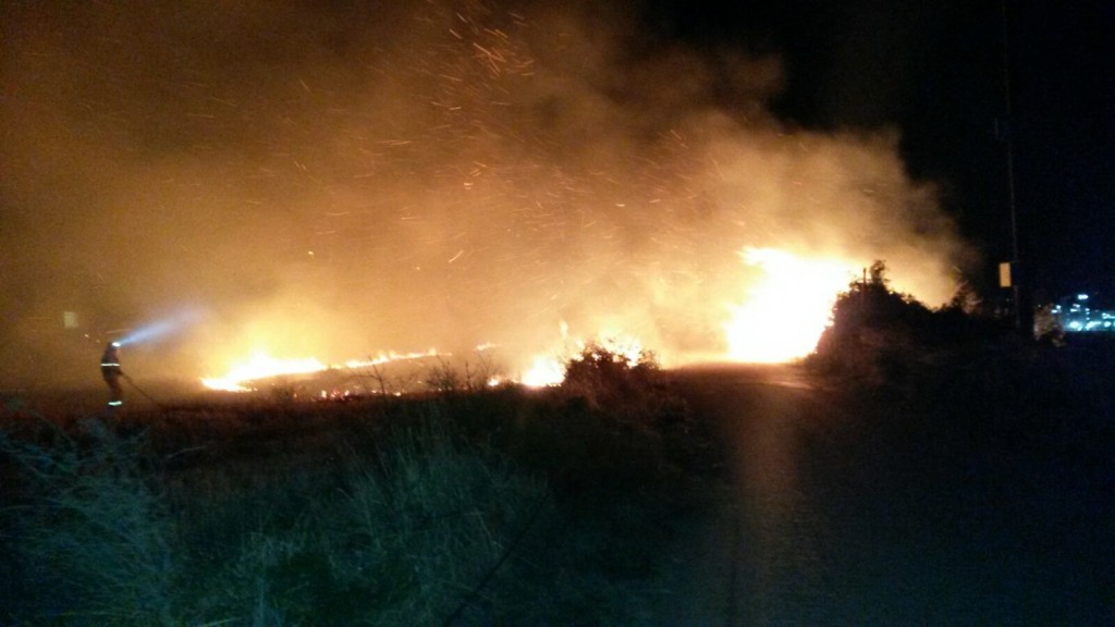 60 ettari in fiamme tra Campomarino e Portocannone
