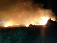 60 ettari in fiamme tra Campomarino e Portocannone