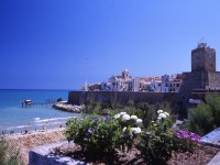 Referendum comunali a Termoli, i comitati puntano il dito su Sbrocca