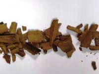 Denunciato un medico… stupefacente