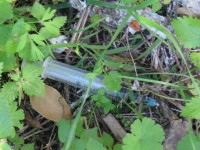 Bimba rischia di pungersi con una siringa davanti alla chiesa dei Monti