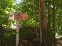 Riserva Mab e Oasi Wwf sotto i riflettori. È la ‘tre giorni’ del progetto Impact