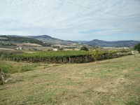 Cade nella cisterna del mosto, 61enne muore a Larino