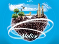 Molise Truffle Experience, tre giorni in viaggio per il tartufo