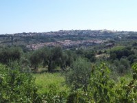 Consorzio di Bonifica di Larino, Occhionero nuovo presidente