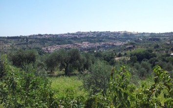 Consorzio di Bonifica di Larino, Occhionero nuovo presidente