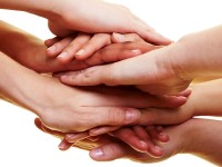 Legge di stabilità, da Petraroia un plauso sulle norme di politica sociale