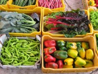 Agroalimentare, un comparto ‘volano’ per la regione