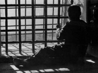 Istigava al terrorismo, il somalo non risponde al gip