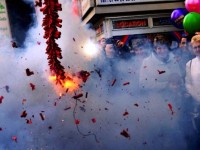 Botti di fine anno, l’appello allo stop dell’Oipa