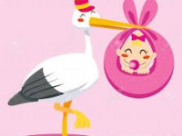 Ambra prima nata in provincia di Isernia