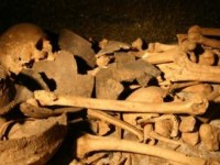 Mistero a Limosano, teschio umano rinvenuto vicino alla chiesa