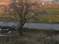 Dopo l’anticipo di primavera, ora torna l’inverno