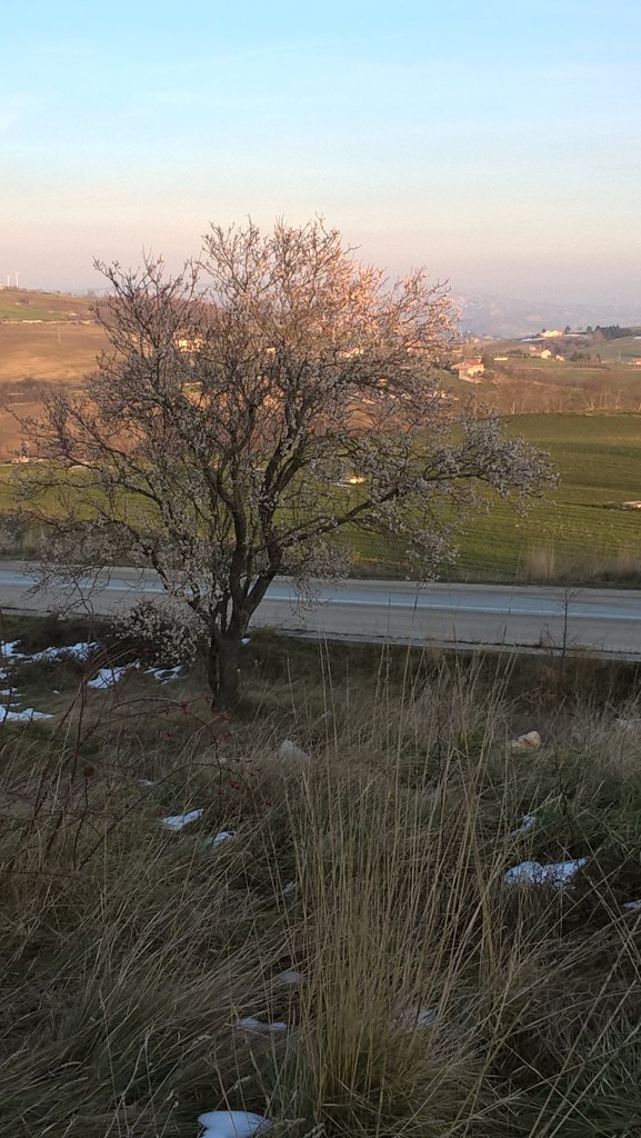 Dopo l’anticipo di primavera, ora torna l’inverno