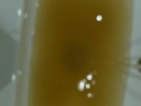 Longano, acqua rossa dai rubinetti