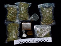 Campobasso, due pusher finiscono ai domiciliari